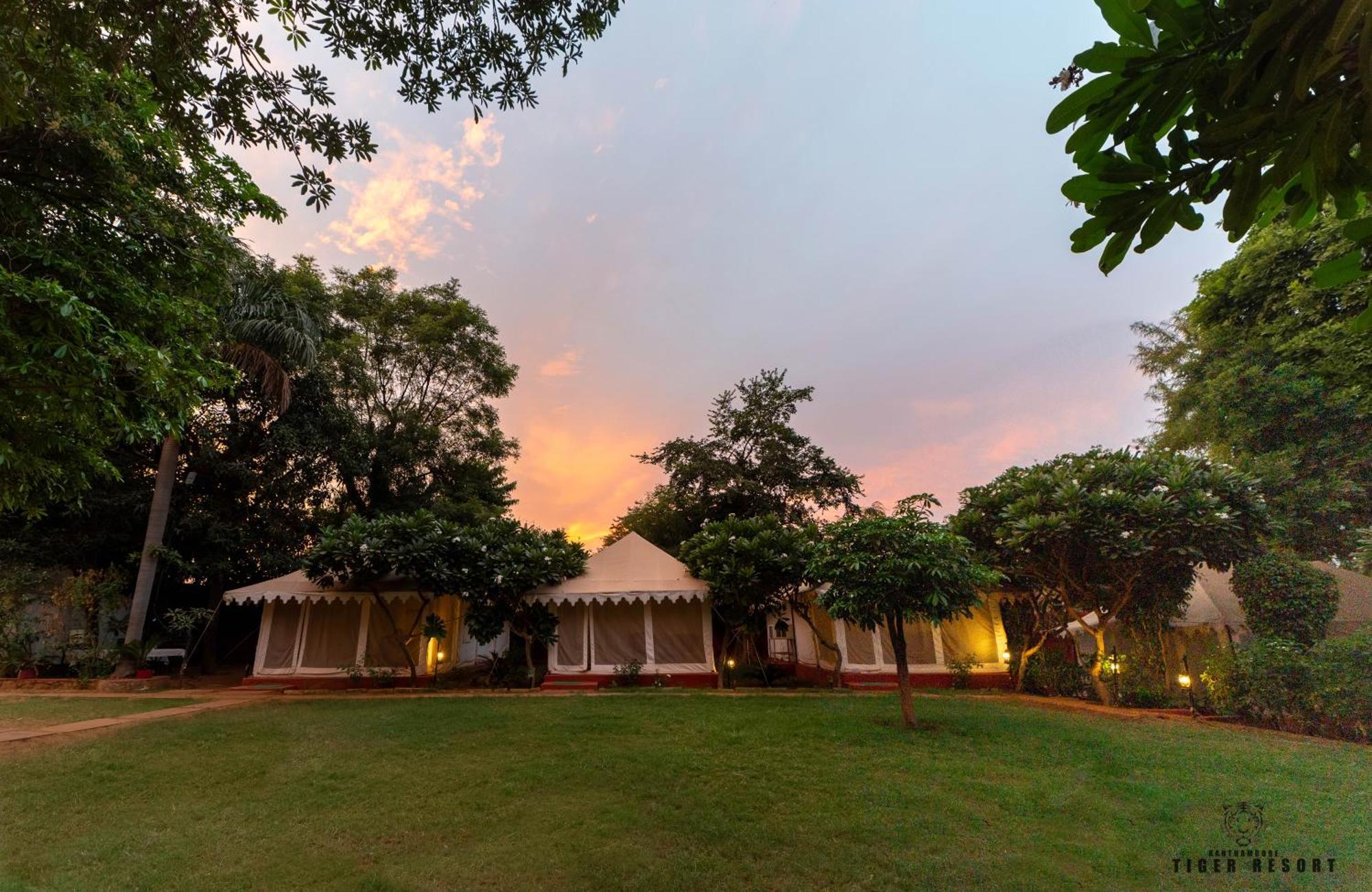 Ranthambore Tiger Resort Савай-Мадгопур Екстер'єр фото