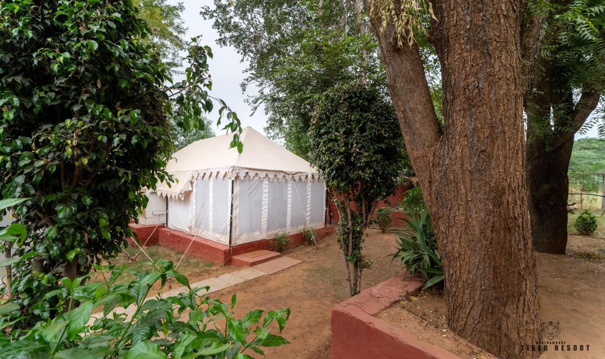 Ranthambore Tiger Resort Савай-Мадгопур Номер фото